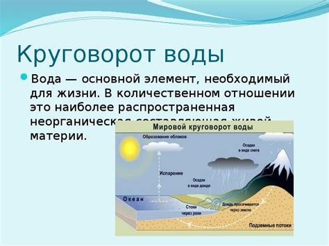 Вода: основной и необходимый элемент для жизни простейших организмов