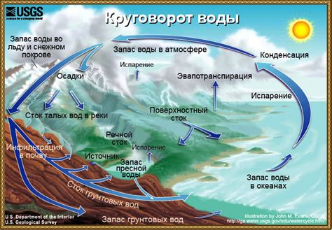 Вода и парные процессы: важность водного цикла для организмов