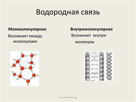 Водородная связь