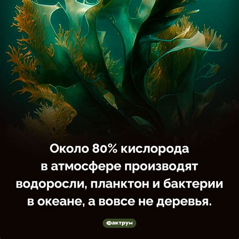 Водоросли и бактерии