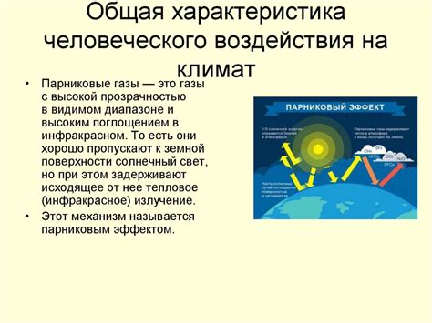 Воздействие водорослей на климат