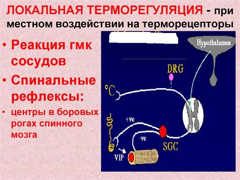 Воздействие на терморецепторы