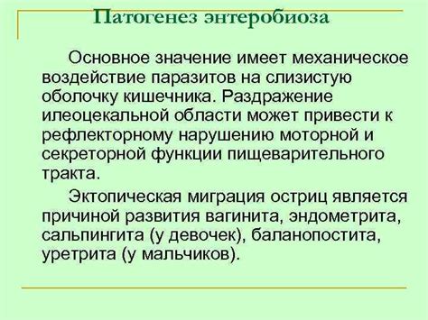 Воздействие пара на слизистую оболочку