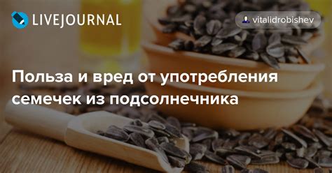 Воздержитесь от употребления семечек