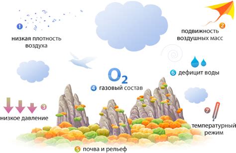 Воздушная среда обитания и ее взаимосвязь с другими средами