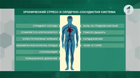 Возможная связь между стрессом и зрением