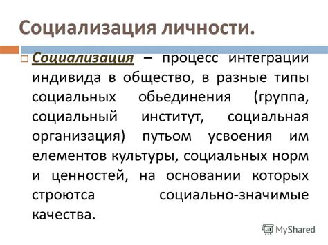 Возможна ли социализация без общества? Рассмотрим причины и альтернативы