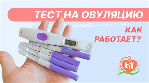 Возможные объяснения положительного теста на овуляцию