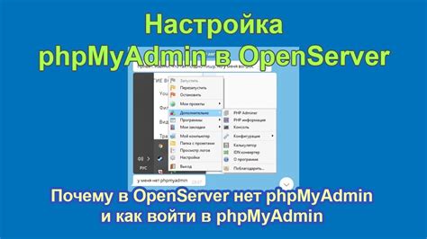 Возможные причины отсутствия папок в домене в OpenServer