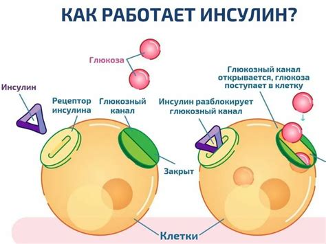 Возможные решения для нормализации уровня сахара в крови без пищи