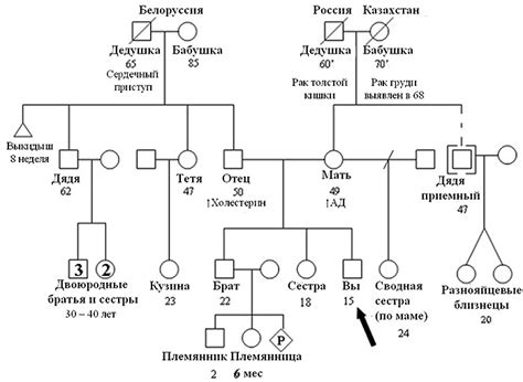 Возникновение генетического дерева