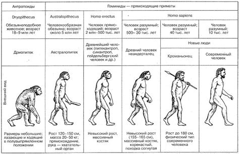 Возникновение ереси: происхождение и особенности