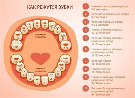 Возраст Курапики: первые появления героя в сериале