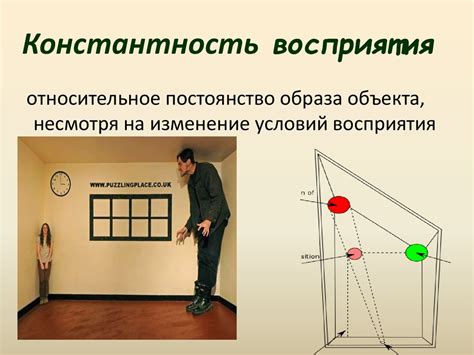 Восприятие и ориентация