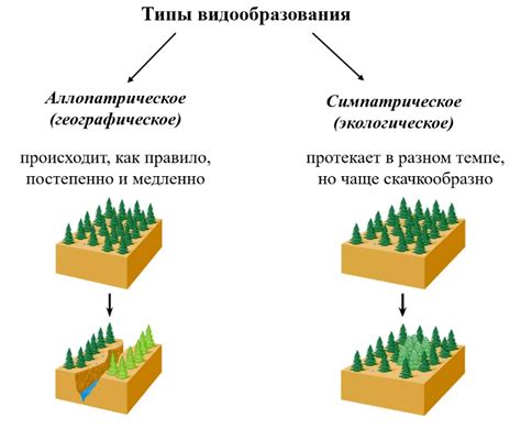 Восстановление рощ и их экологическое значение