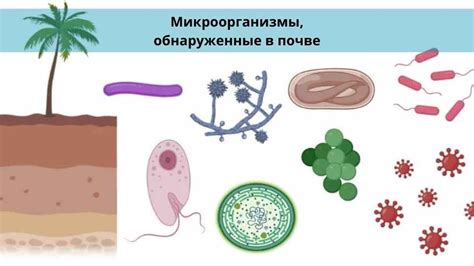 Вредные микроорганизмы - скрытая угроза