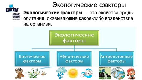 Вредные привычки и факторы окружающей среды