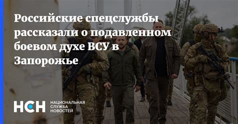 Всего глав в "Боевом духе"