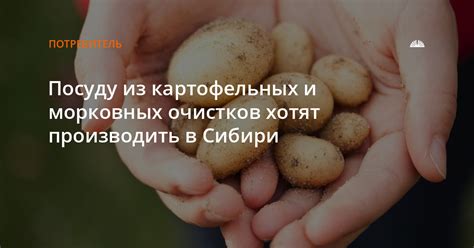 Встреча куриц и картофельных очистков: спорное питание