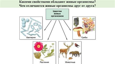 Выделение йода организмом