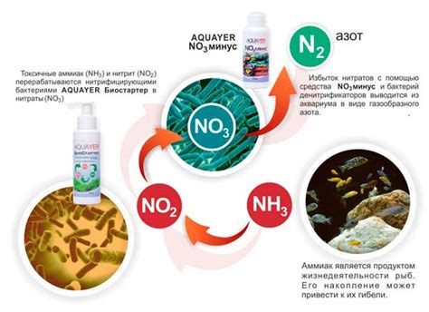 Высокая концентрация нитратов в воде