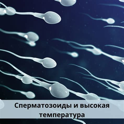 Высокая чувствительность к температуре