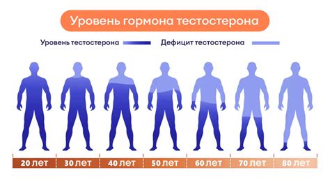 Высокое содержание тестостерона