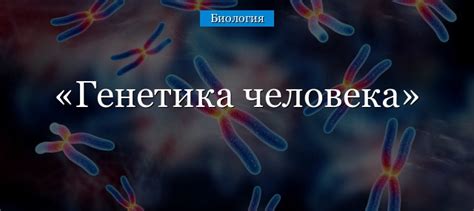 Генетика – ключ отгадки