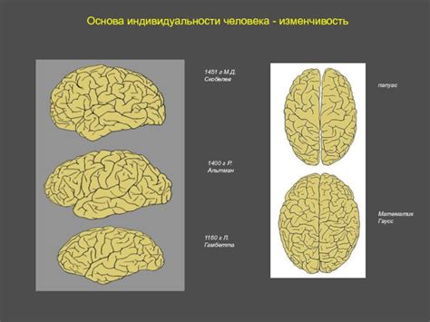 Генетическая основа индивидуальности мозга