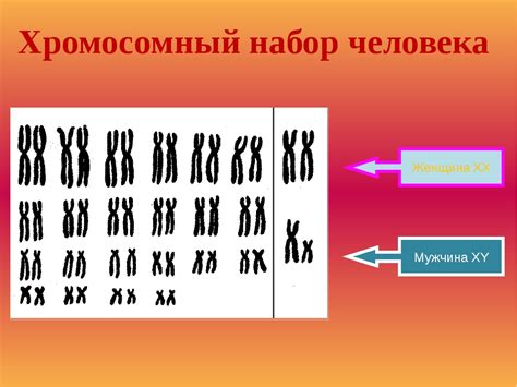 Генетические аномалии: нестандартный набор хромосом