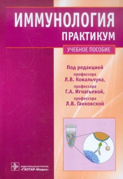 Генетические исследования: родство саламандры с жабами и лягушками