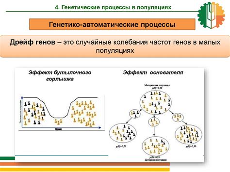 Генетические основы миграции