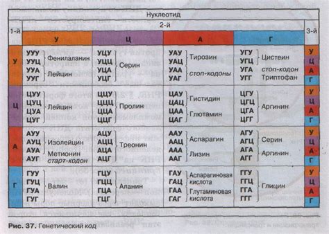 Генетические особенности Вай