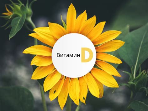 Генетические факторы и недостаток витамина Д