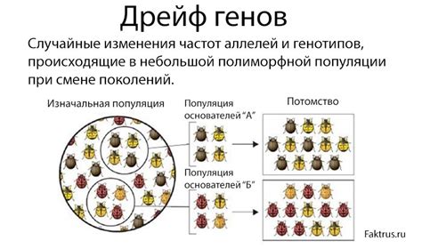 Генетический фактор в поведении петухов