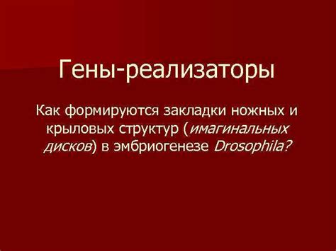 Гены и их роль в передаче черт