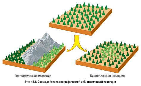 Географическая изоляция от других племен