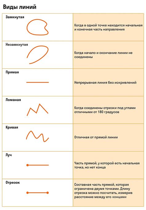 Геометрическая форма банана: линии и кривые