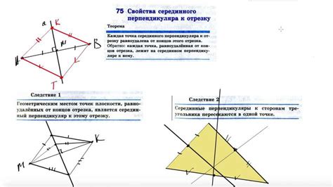 Геометрические особенности строения