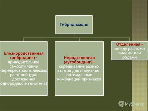 Гибридизация для получения оптимальных пучков