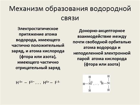 Гидрофобная связь и ее роль в биологических системах