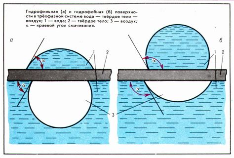 Гидрофобность масла и гидрофильность воды