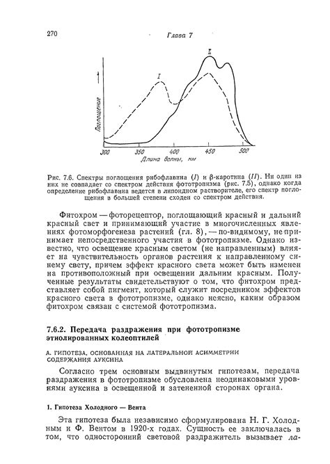 Гипотеза фототропизма