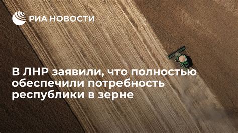 Главная потребность в зерне