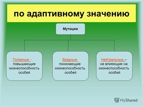 Главные факторы, влияющие на мутации