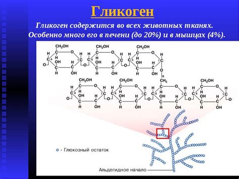 Гликоген и его роль в наборе массы