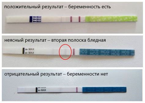 Гормональный фон и вторая полоска на тесте