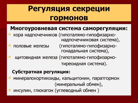 Гормоны и регуляция веса