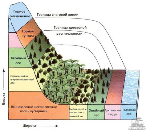 Горные массивы и их роль в погоде