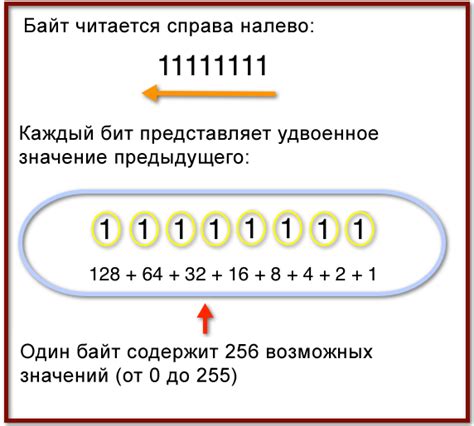 Двоичное представление числа 51